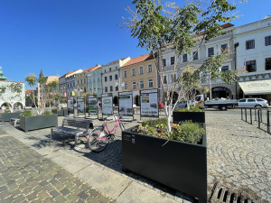 Stromy na náměstí lidi baví. Uvítali by jich klidně víc