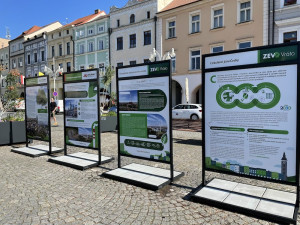 Stromy na náměstí lidi baví. Uvítali by jich klidně víc