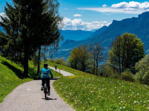 Cyklostezky mezi Lipnem a Rakouskem budou mít jednotnou infrastrukturu