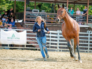 Vyhrajte vstupenky na agrosalon Země živitelka. Výstava začíná už 25. srpna