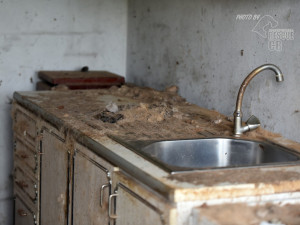 Zubožená fenka žila zamčená v malé garáži. Veterináři ji majitelům odebrali