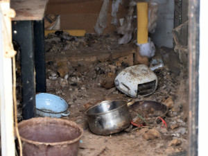 Zubožená fenka žila zamčená v malé garáži. Veterináři ji majitelům odebrali