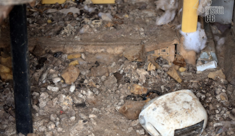 Zubožená fenka žila zamčená v malé garáži. Veterináři ji majitelům odebrali