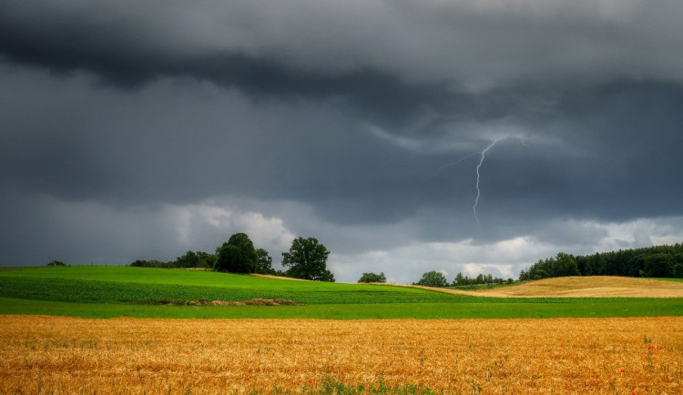 Odhad škod z počasí na dosavadní úrodě je 640 milionů korun, podobně jako loni