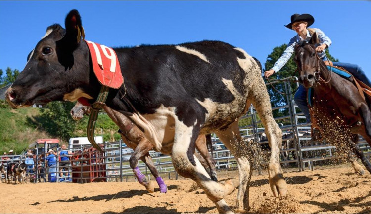 Léto v Boršově nad Vltavou zakončí americkým rodeem a staročeskými dožínkami