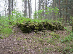 Rožmberská šibenice.