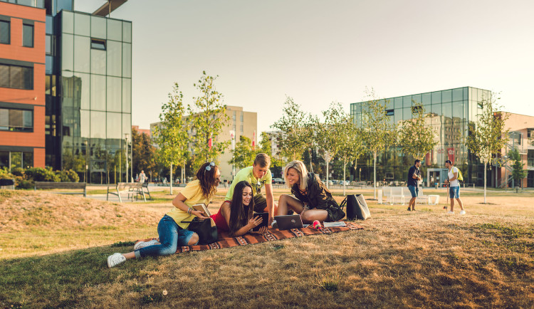 Archeologická konference Meč a člověk chystá program i pro širokou veřejnost