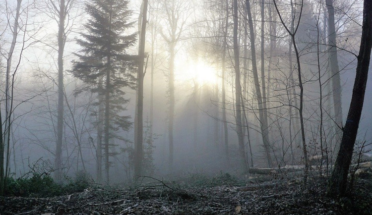 Víkend přinese další ochlazení, teplota klesne přes den až na devět stupňů