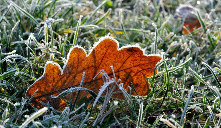Teploty mírně porostou, na horách bude sněžit, hrozí přízemní mrazíky