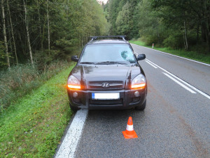 Řidič měl velké štěstí. Na čelní sklo mu za jízdy spadl strom