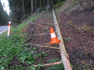Řidič měl velké štěstí. Na čelní sklo mu za jízdy spadl strom