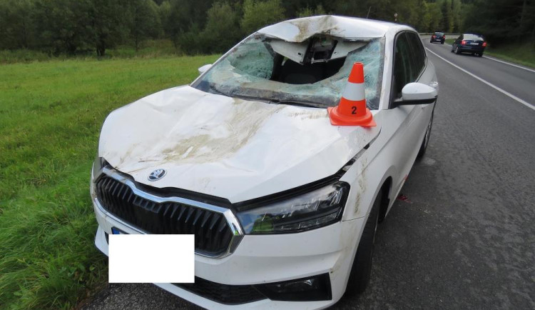 Na Českokrumlovsku se srazilo auto s jelenem. Řidiče museli převézt do nemocnice, zvíře uteklo