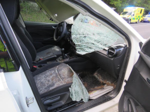 Na Českokrumlovsku se srazilo auto s jelenem. Řidiče museli převézt do nemocnice, zvíře uteklo