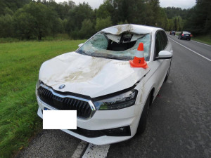 Na Českokrumlovsku se srazilo auto s jelenem. Řidiče museli převézt do nemocnice, zvíře uteklo