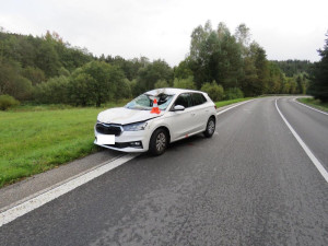 Na Českokrumlovsku se srazilo auto s jelenem. Řidiče museli převézt do nemocnice, zvíře uteklo