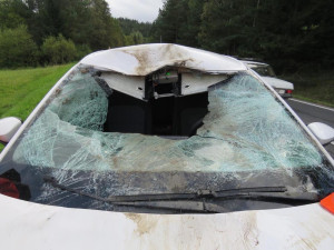Na Českokrumlovsku se srazilo auto s jelenem. Řidiče museli převézt do nemocnice, zvíře uteklo