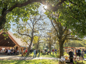 Již tuto sobotu se v Klášteře Borovany uskuteční tradiční Hody s plody podzimu
