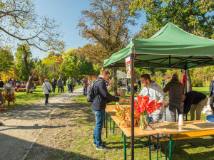 Již tuto sobotu se v Klášteře Borovany uskuteční tradiční Hody s plody podzimu