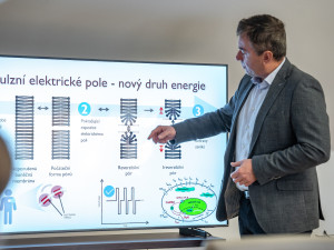 Českobudějovická nemocnice léčí fibrilaci srdečních síní pomocí nové metody
