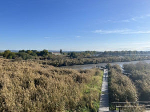 Kraj otevřel u Českobudějovických rybníků novou pozorovací věž