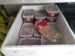 Celníci zajistili téměř 180 kilogramů masa v nevhodných podmínkách