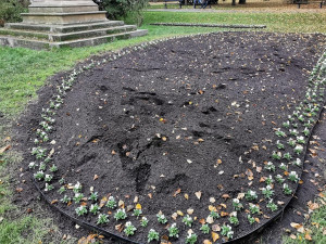 Zaměstnanci úřadu nechali vysázet tisíce květin. Vandalové je poškodili