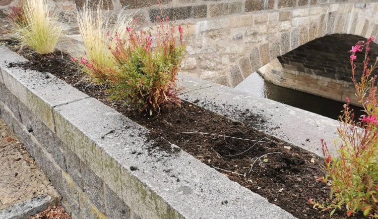 Zaměstnanci úřadu nechali vysázet tisíce květin. Vandalové je poškodili