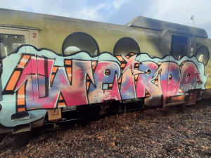 Neznámý vandal posprejoval několik vagonů.