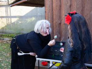 V zoo na Hluboké se bude zase strašit. A to již 29.října