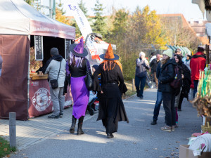 V zoo na Hluboké se bude zase strašit. A to již 29.října