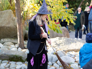 V zoo na Hluboké se bude zase strašit. A to již 29.října