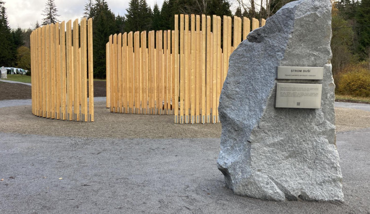Strom duší pod Boubínem připomíná jména těch, kteří zemřeli v lese