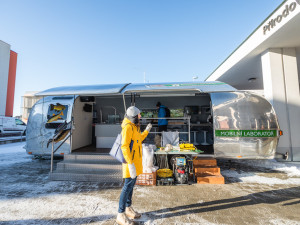 Letošní Týden vzdělávání dospělých v Jihočeském kraji nabídne přednášky osobností z řad sportovců i tváří televizních obrazovek
