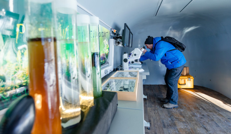 Letošní Týden vzdělávání dospělých v Jihočeském kraji nabídne přednášky osobností z řad sportovců i tváří televizních obrazovek