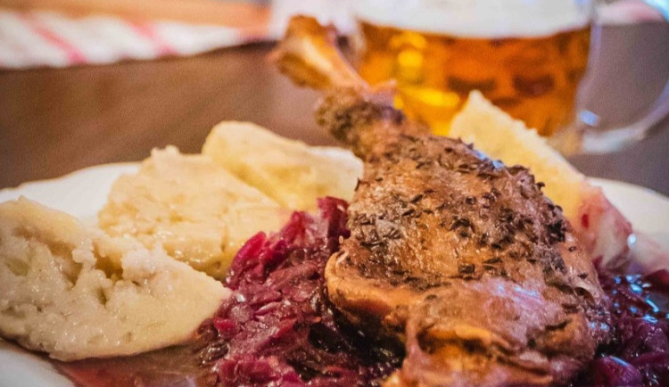 Svatomartinská husa přilétá na Budějovicko