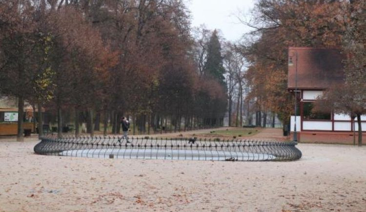 V přerovském parku Michalov začalo ořezávání stromů. Město vyzývá návštěvníky, aby dávali pozor