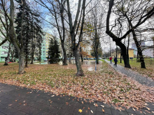 Část Budějc byla od rána bez vody. V Plzeňské prasklo potrubí