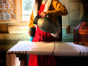 Archeoskanzen Trocnov se poprvé otevírá věřejnosti