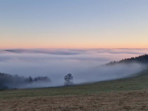 Pondělní ráno na Šumavě, foto: We Love Šumava
