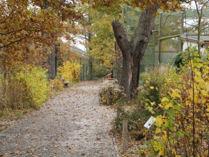 I na podzim má Jihočeská zoologická zahrada co nabídnout