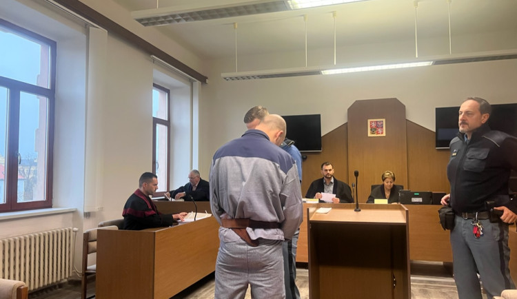 Muži, který brutálně ubil ženu na Českobudějovicku, hrozí 18 let vězení. Vinu u soudu přiznal