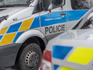 Policie hledala muže s dredy. Vyhýbal se vězení