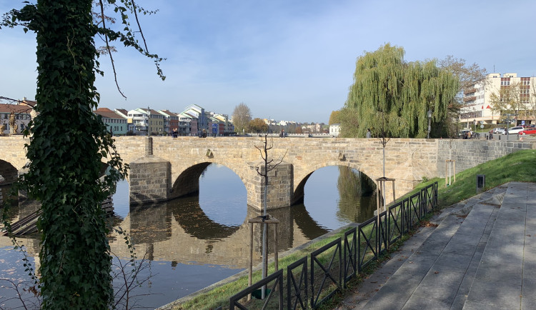 V Písku letos vysadili zhruba dvě stovky stromů
