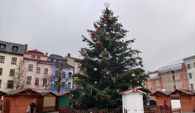 ANKETA: Vánoční strom v Jihlavě je ozdoben, slavnostní rozsvícení je na programu v neděli podvečer