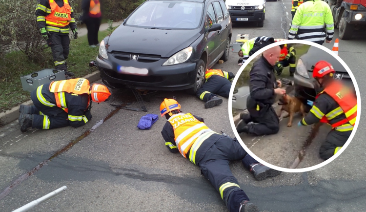 Pes z Brna zůstal zaklíněný pod autem, na pomoc přijeli hasiči