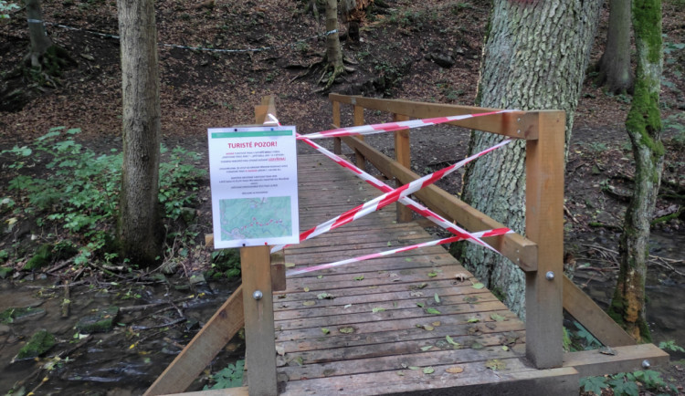 Lesníci kvůli suchu pokácí stromy v Moravském krasu. Nechtějí, aby padaly na turisty