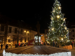 Vánoční strom v Prachaticích. Autor: Město Prachatice