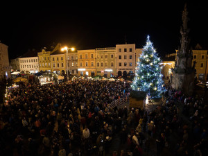 Vánoční strom v Jindřichově Hradci. Autor: Michal Žoudlík
