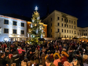 Vánoční strom v Českém Krumlově. Autor: Lubor Mrázek.