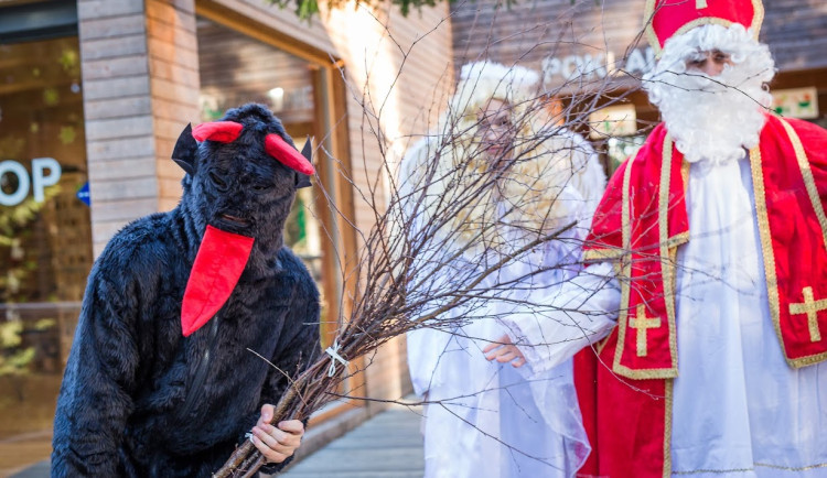 Zažijte dobrodružství na Pekelné Stezce korunami stromů